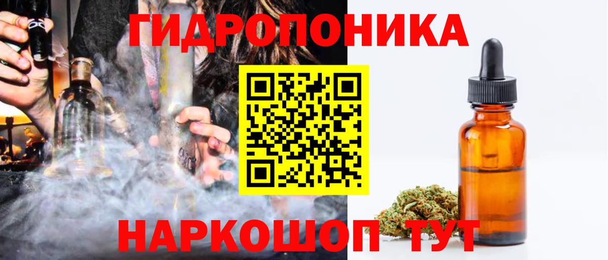 Марихуана сатива Кимовск